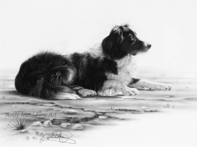 Andy Mast Original Pencil Drawings.