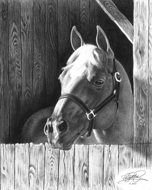 Sunshine & Shadow, pencil art by Andy Mast